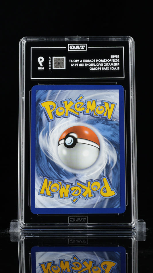 TAG 9 Eevee Pokémon TCG Promo #173 C74
