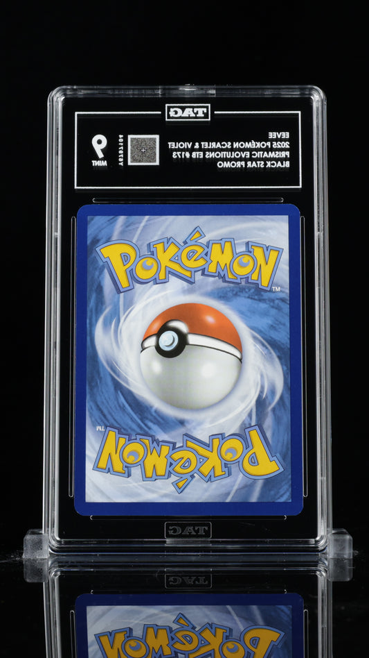 TAG 9 Eevee Pokémon TCG Promo #173 C04