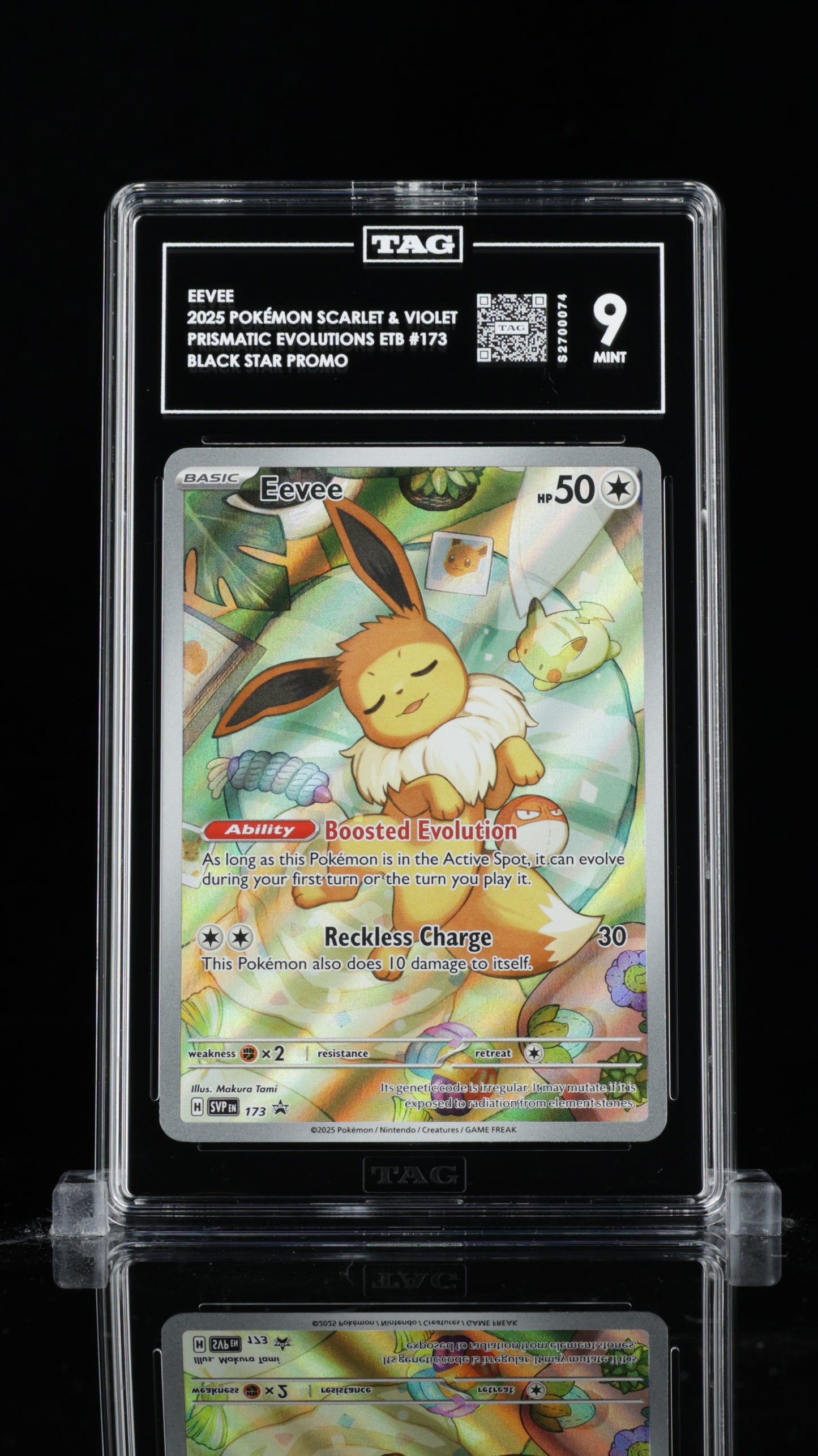 TAG 9 Eevee Pokémon TCG Promo #173 C74