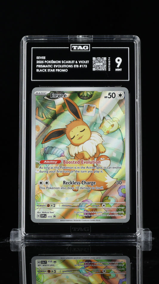 TAG 9 Eevee Pokémon TCG Promo #173 C74