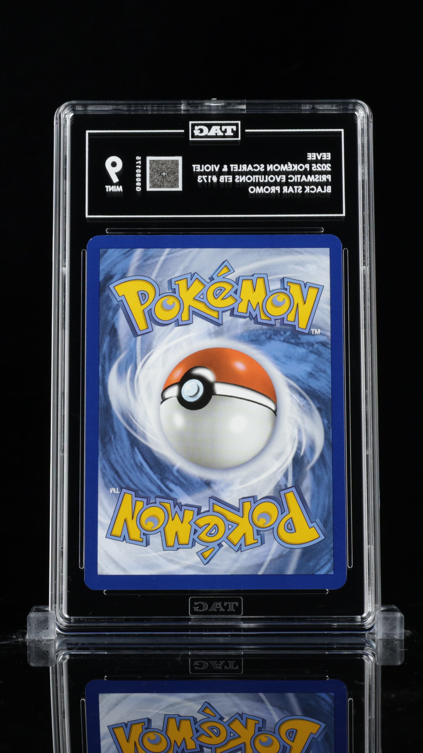 TAG 9 Eevee Pokémon TCG Promo #173 C75