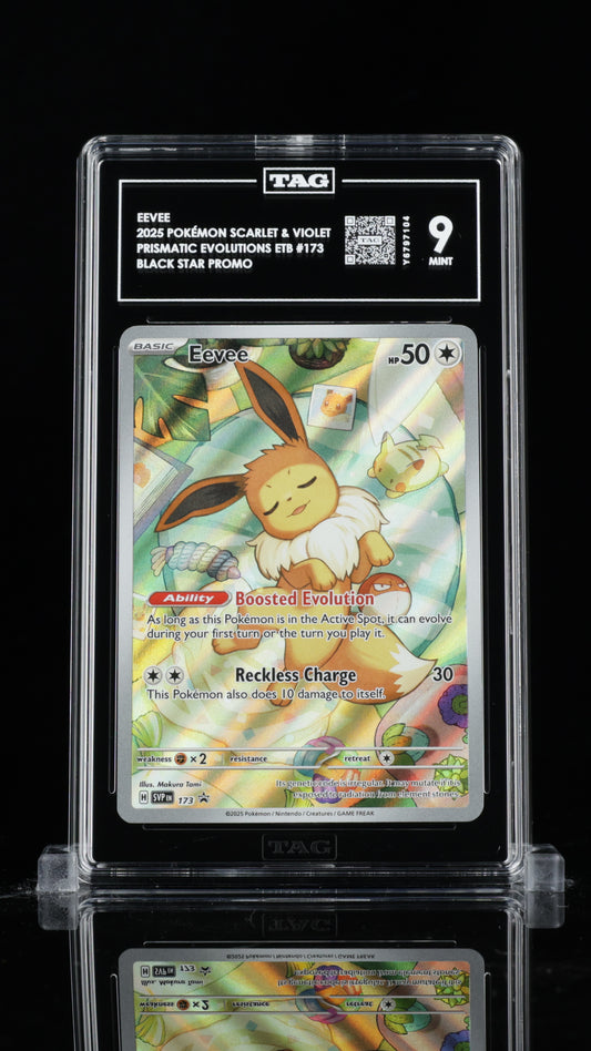 TAG 9 Eevee Pokémon TCG Promo #173 C04