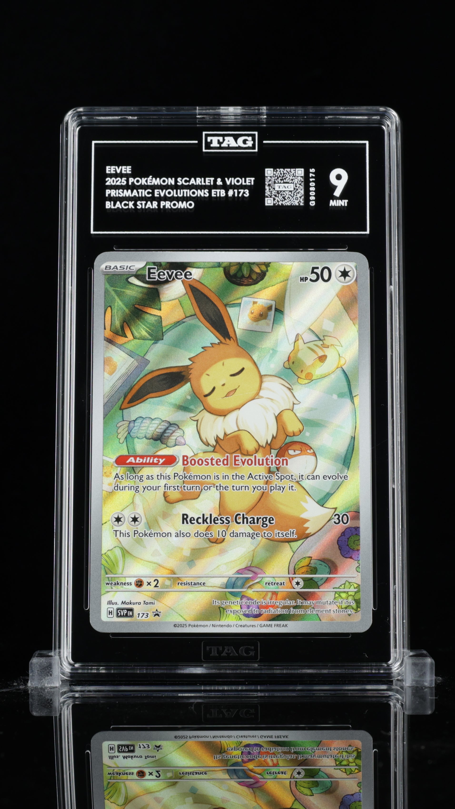TAG 9 Eevee Pokémon TCG Promo #173 C75