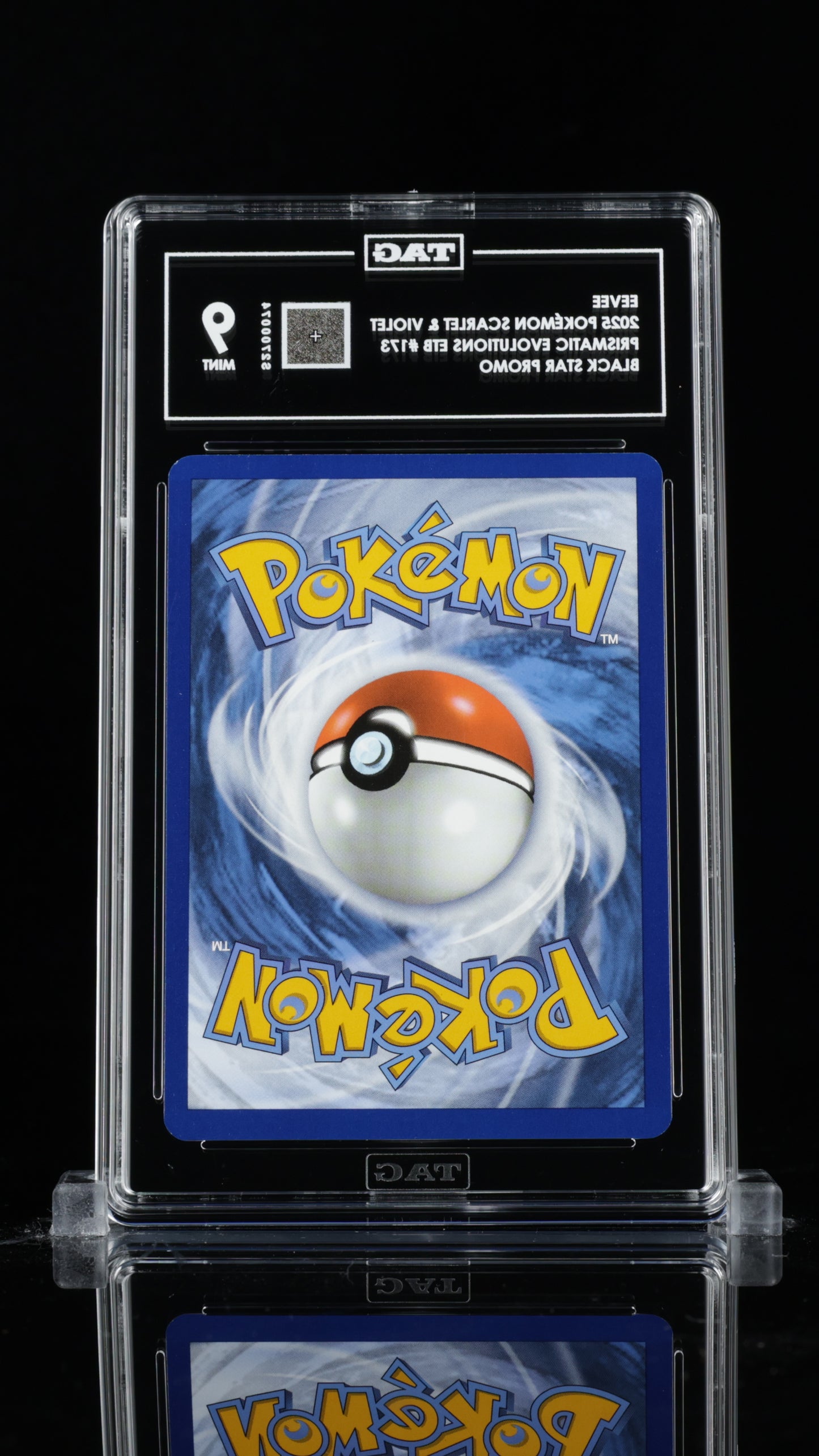 TAG 9 Eevee Pokémon TCG Promo #173 C74